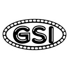 GSI